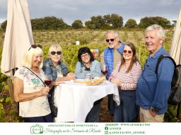 Festival Mar de Tethys 2026 - Bodega Vetas